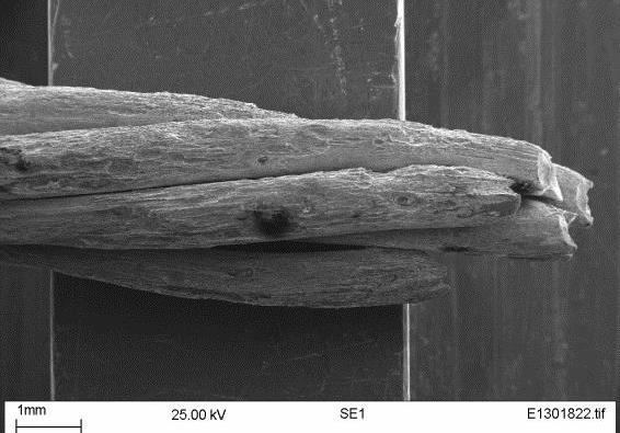 The Test House - Wire rope failure analysis case study